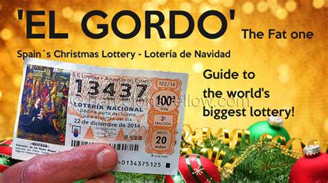 spanish daily lotto results|elGordo.com .